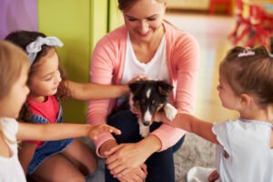 Como adaptar a casa para receber um novo animalzinho